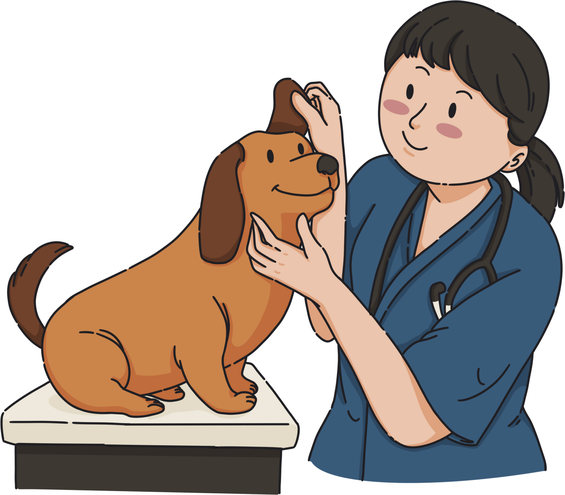 Friendly Veterinarian Doctor Check-up Brown Dog Clean Flat Design Illustration style
